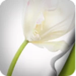 flower full hd android application logo